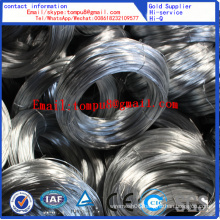 Electric Galvanized Wire & Hot DIP Galvanized Wire (Direct factory)